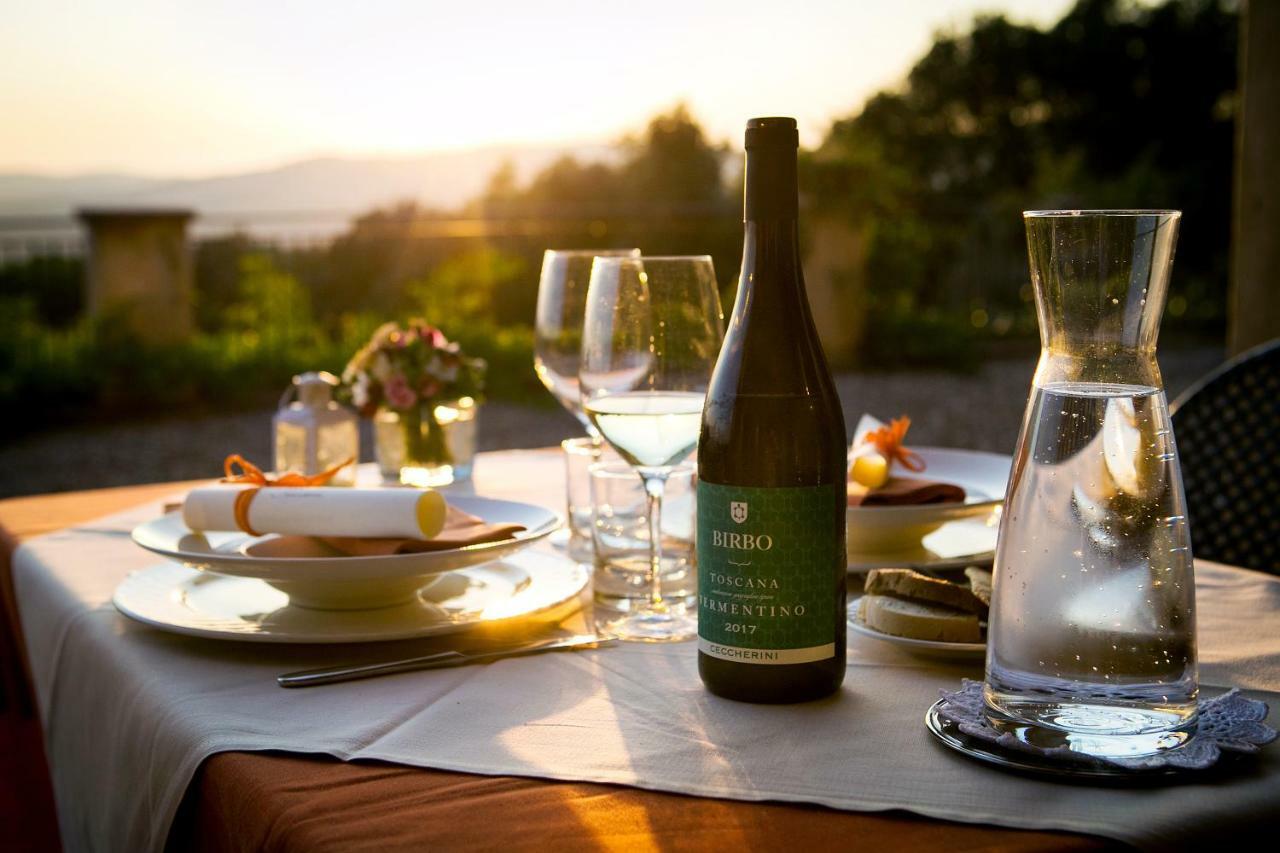 Tenuta Il Sassone - Wine&Food Massa Marittima Kültér fotó