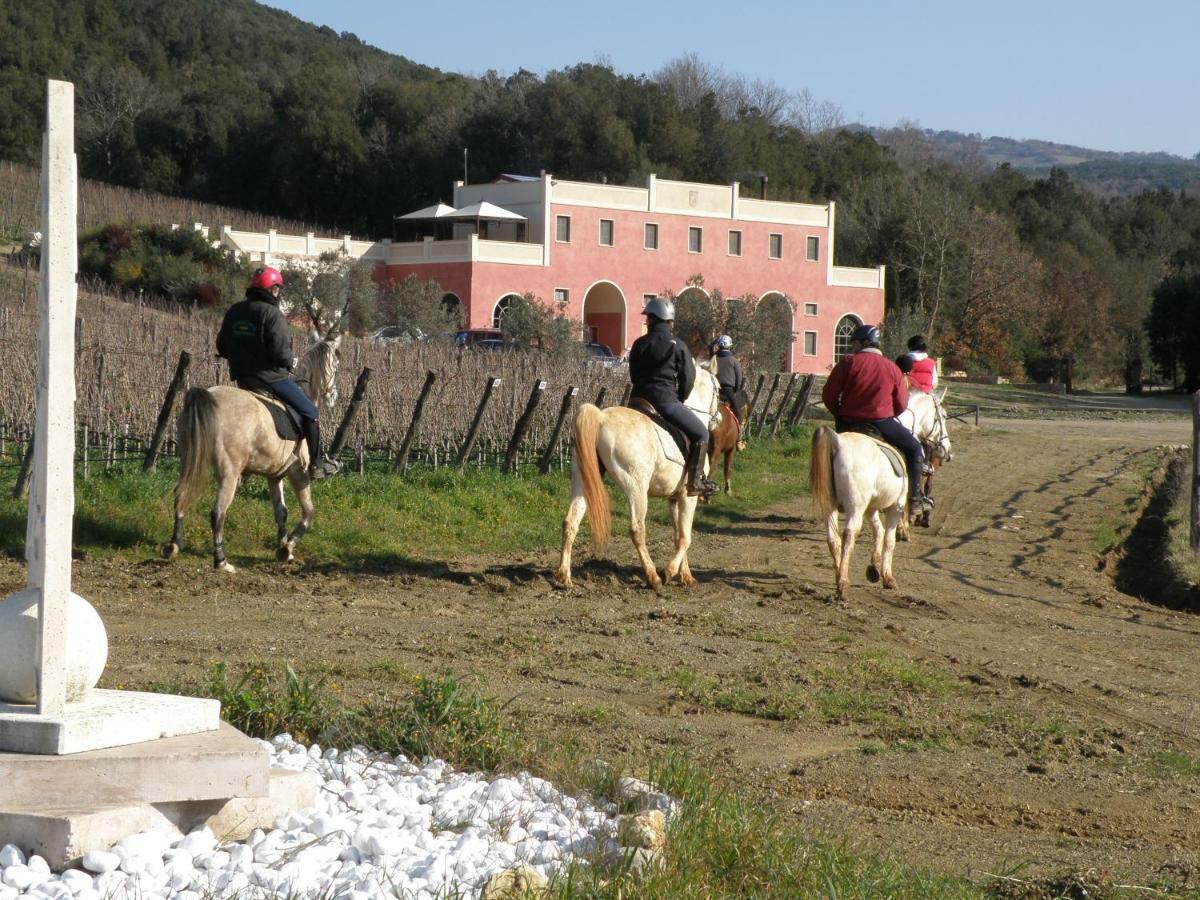 Tenuta Il Sassone - Wine&Food Massa Marittima Kültér fotó