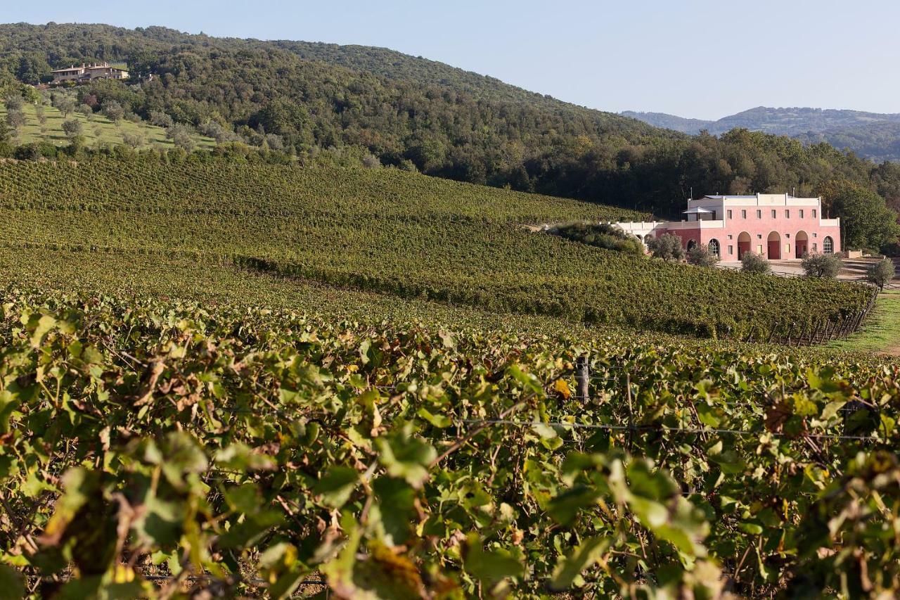 Tenuta Il Sassone - Wine&Food Massa Marittima Kültér fotó
