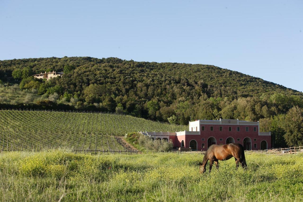 Tenuta Il Sassone - Wine&Food Massa Marittima Kültér fotó
